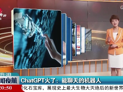 ChatGPT火了：能聊天的机器人