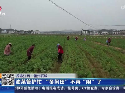 都市现场20230207