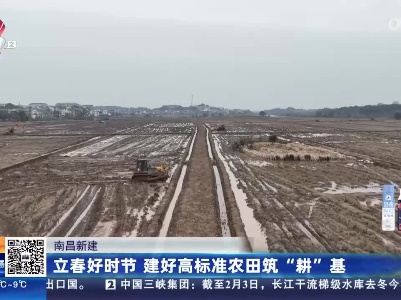 南昌新建：立春好时节 建好高标准农田筑“耕”基