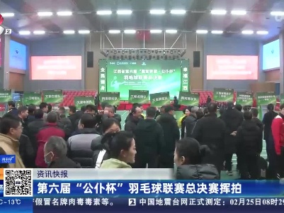 第六届“公仆杯”羽毛球联赛总决赛挥拍