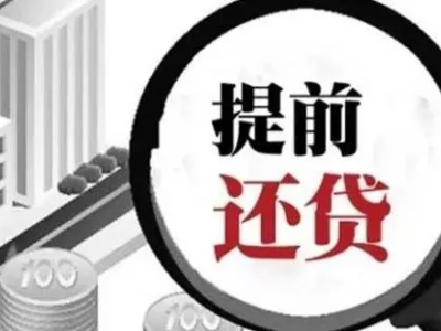 热评丨面对“报复性还贷” 优化贷款规则才能多方共赢
