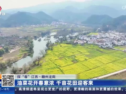 【探“春”江西】赣州龙南：油菜花开春意浓 千亩花田迎客来