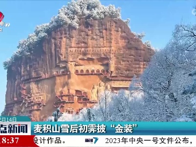麦积山雪后初霁披“金装”