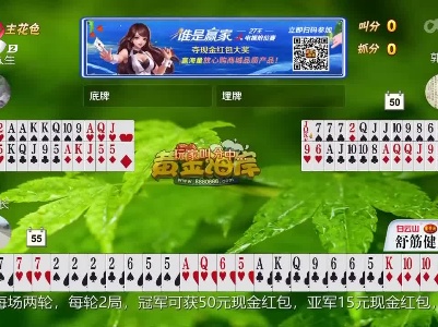 谁是赢家20230209