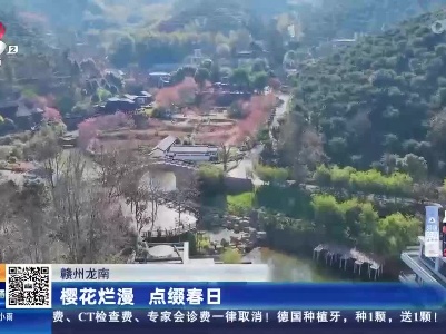 赣州龙南：樱花烂漫 点缀春日