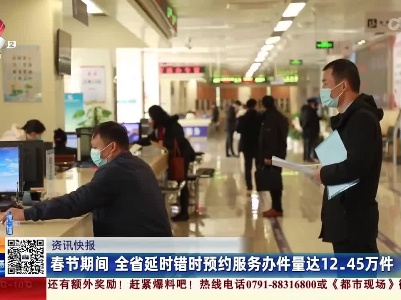 春节期间 全省延时错时预约服务办件量达12.45万件