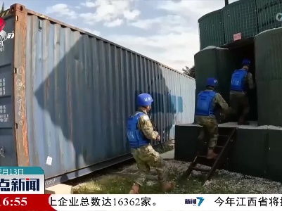 中国维和多功能工兵分队出色完成“猛虎—2023”演习
