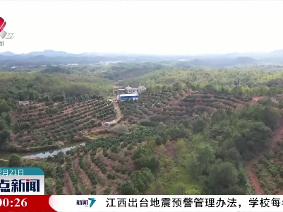 整点新闻20230221 14:00