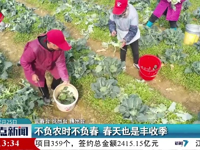 不负农时不负春 春天也是丰收季