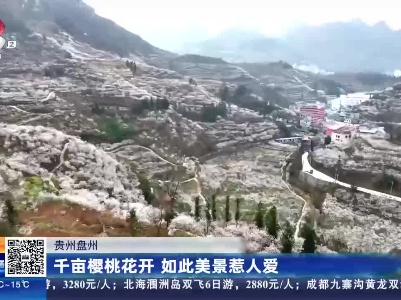 都市现场20230220