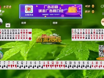 谁是赢家20230222