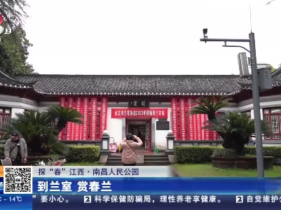 【探“春”江西】南昌人民公园：到兰室 赏春兰