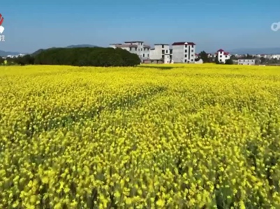花开赣鄱 春意盎然