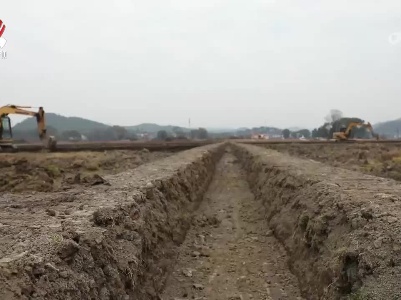 【奋力巩固提升经济回稳向好】江西：稳面积 防风险 守住保障粮食安全底线