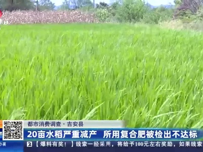 【都市消费调查】吉安县：20亩水稻严重减产 所用复合肥被检出不达标