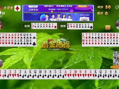 谁是赢家20230214