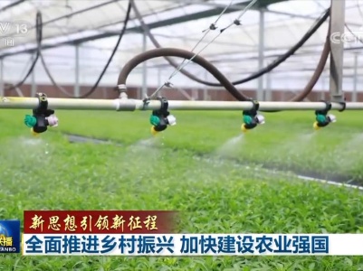 【地评线】江右时评：全面推进乡村振兴 共绘幸福生活画卷