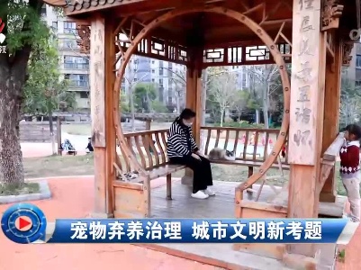社会传真20230225 宠物弃养治理 城市文明新考题