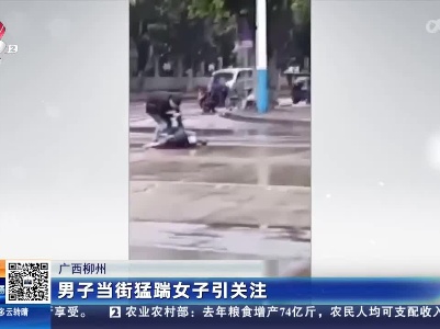 广西柳州：男子当街猛踹女子引关注