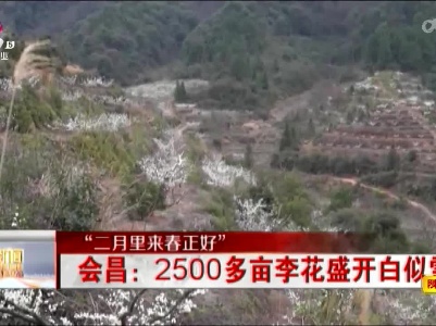 【“二月里来春正好”】会昌：2500多亩李花盛开白似雪