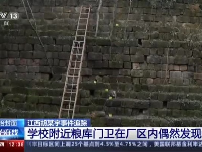 央视记者实地探访胡某宇缢吊现场：粮库门卫追狗时偶然发现