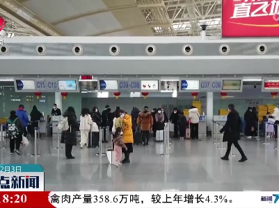 出境游开放 首发团启程在即