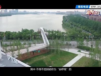 都市去趣营·周末研学课：解密海绵城市