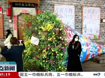 “鲜花占领街头” 2023南昌万寿宫花潮节启幕