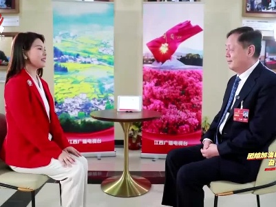 【团结加油赣 奋斗谱新篇·代表面对面】轻装上阵  民营企业“大胆发展”信心足