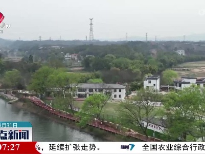 整点新闻20230331 14:00