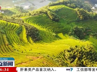 整点新闻20230329 14:00