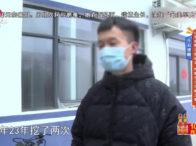 今日提醒——山里的野花别乱采 挖野生兰花被立案