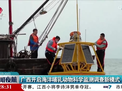 广西开启海洋哺乳动物科学监测调查新模式