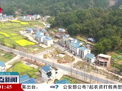 整点新闻20230317 14:00