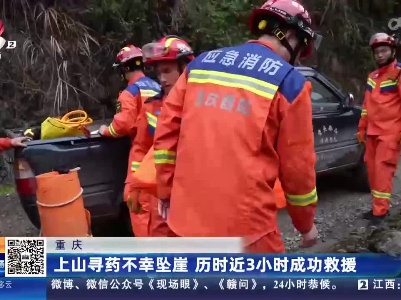 重庆：上山寻药不幸坠崖 历时近3小时成功救援
