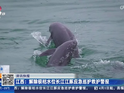 江西：解除极枯水位长江江豚应急巡护救护警报