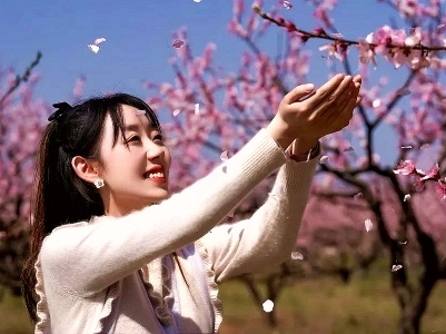 吉安峡江：三月桃花开 赏花正当时