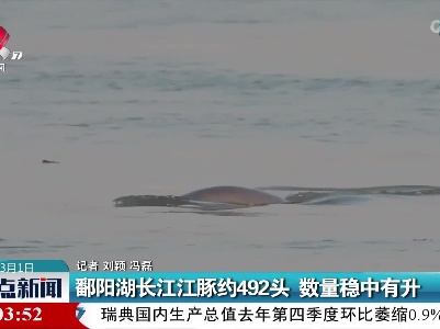 鄱阳湖长江江豚约492头 数量稳中有升