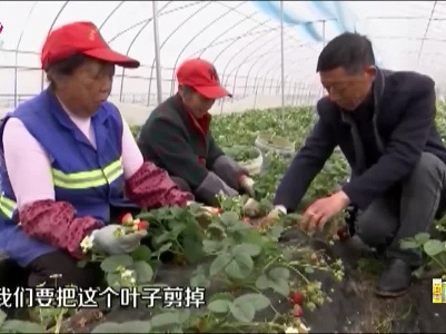 新闻晚高峰20230306