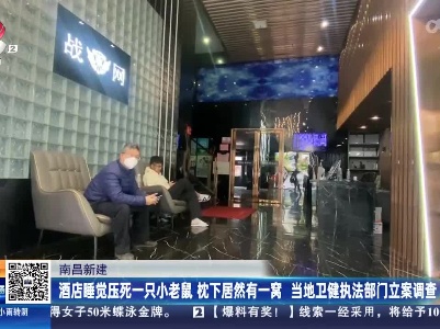 南昌新建：酒店睡觉压死只小老鼠 枕下居然有一窝 当地卫健执法部门立案调查