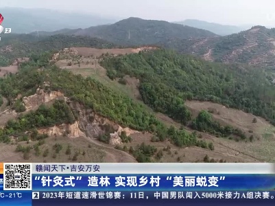 【赣闻天下】吉安万安：“针灸式”造林 实现乡村“美丽蜕变”