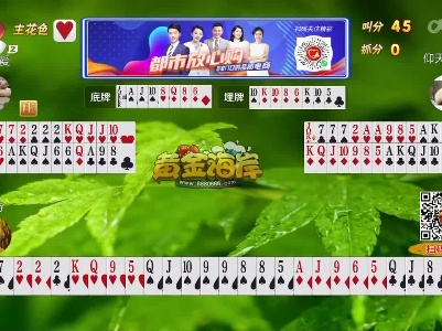 谁是赢家20230316