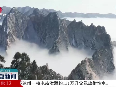 整点新闻20230320 10:00