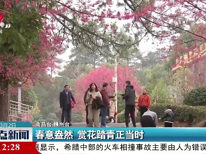 春意盎然 赏花踏青正当时