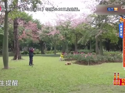 地宝当家20230306