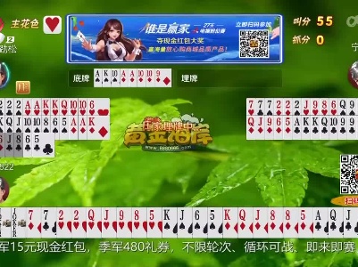 谁是赢家20230325