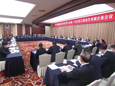 【团结加油赣 奋斗谱新篇·两会进行时】叶建春在审议政府工作报告时强调 以奋发有为的精神状态和只争朝夕的奋斗姿态 全力推动党中央国务院各项决策部署落地落实