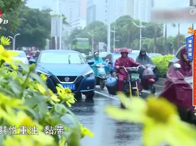 健康提醒——“回南天”易引发疾病 中招诺如病毒如何做？