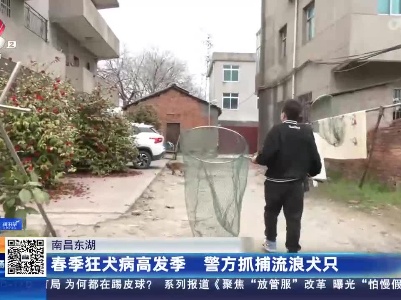 南昌东湖：春季狂犬病高发季 警方抓捕流浪犬只