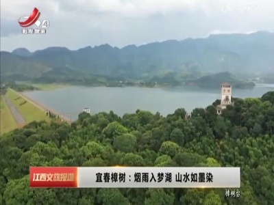 宜春樟树：烟雨入梦湖 山水如墨染
